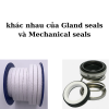 Sự khác nhau giữa Gland seal và Mechanical seal 
